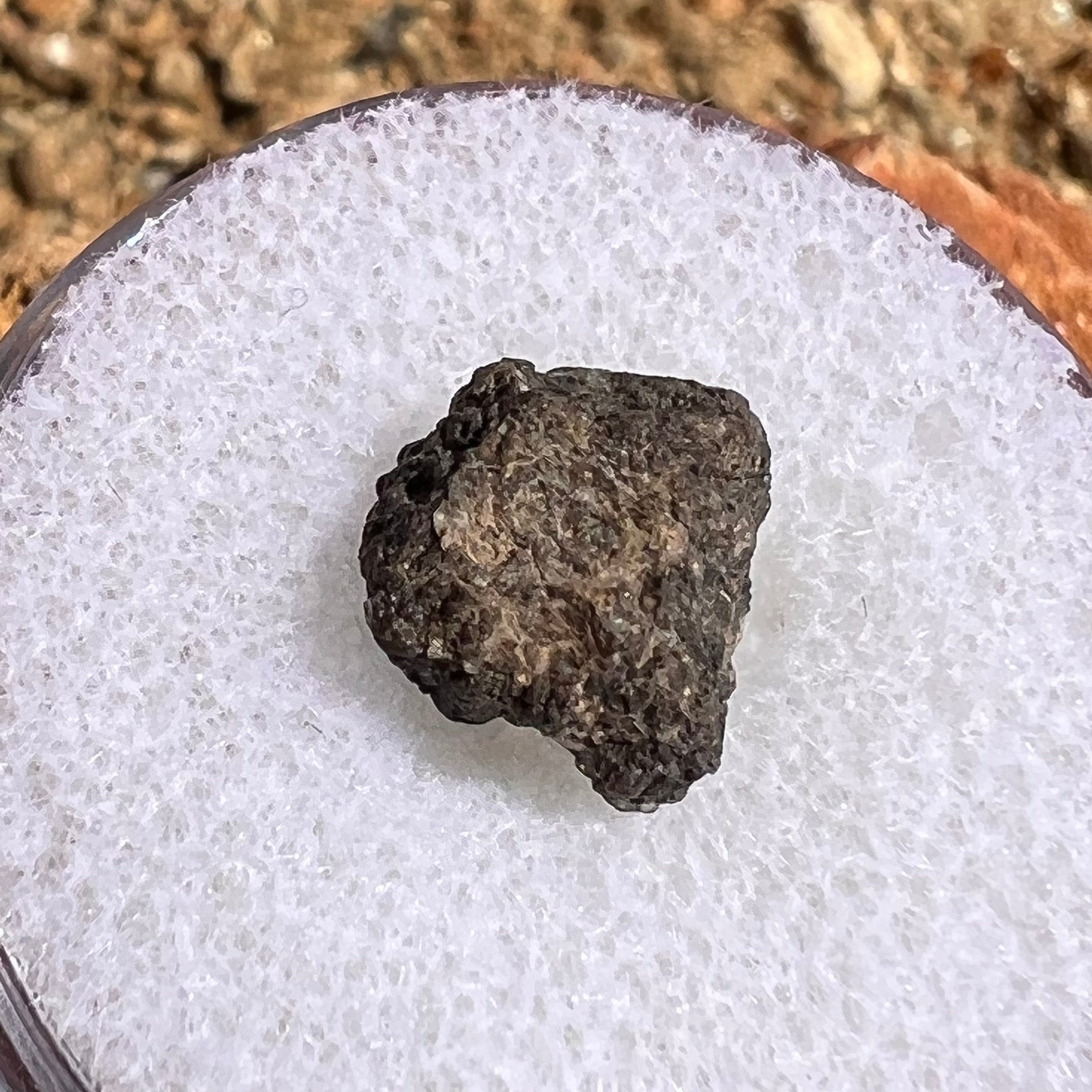 NWA 7397 Mars Meteorite small fragment #79-Moldavite Life