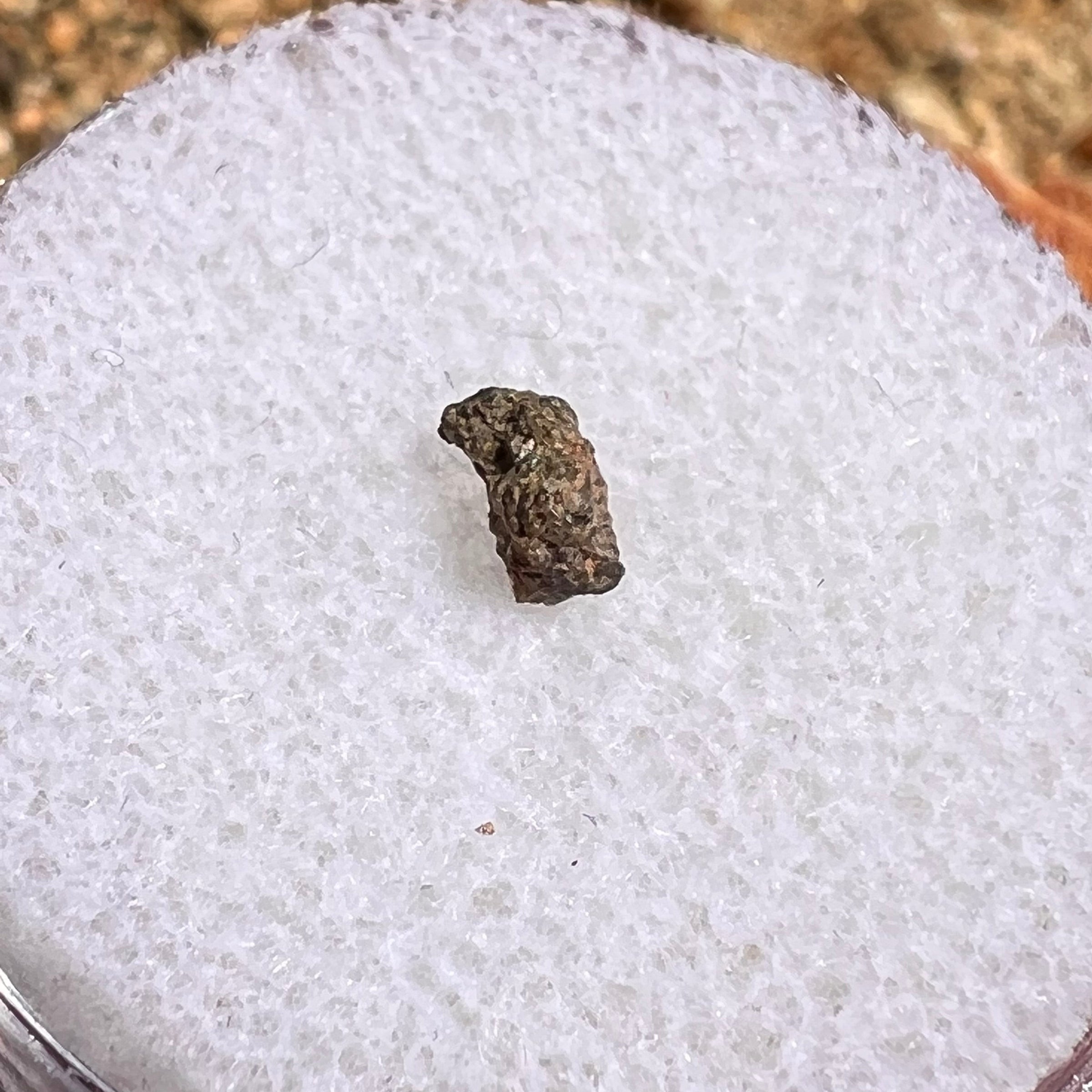 NWA 7397 Mars Meteorite tiny fragment #74