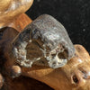 NWA 869 Meteorite Chondrite 4.4 grams-Moldavite Life