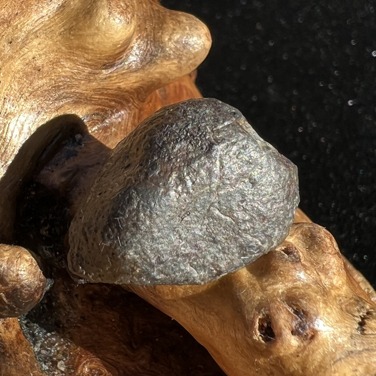 NWA 869 Meteorite Chondrite 4.4 grams-Moldavite Life