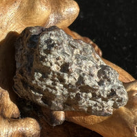 NWA 869 Meteorite Chondrite 5.1 grams-Moldavite Life