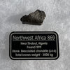 NWA 869 Meteorite Chondrite 5.1 grams-Moldavite Life