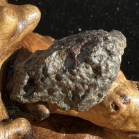 NWA 869 Meteorite Chondrite 6.4 grams-Moldavite Life