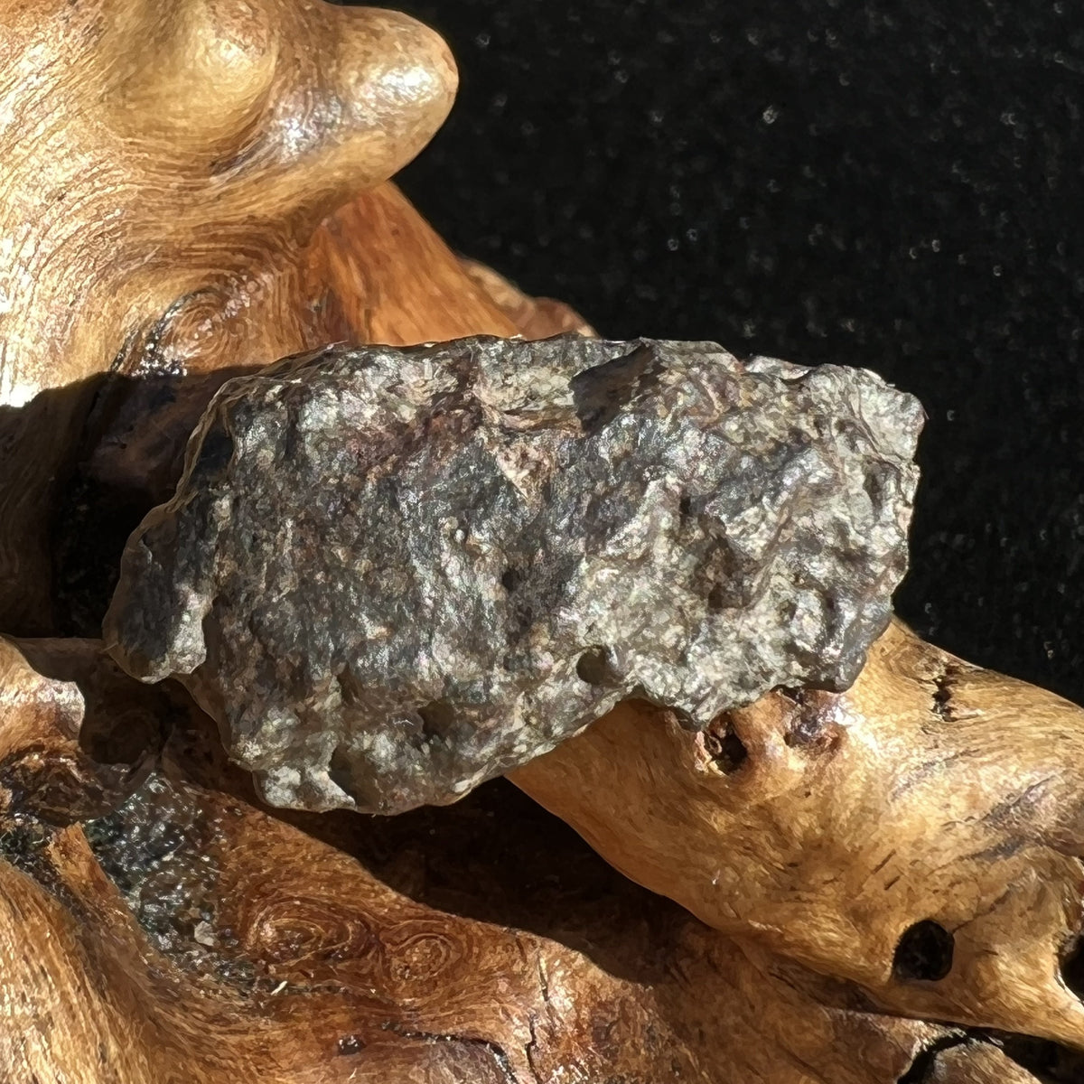 NWA 869 Meteorite Chondrite 6.4 grams-Moldavite Life