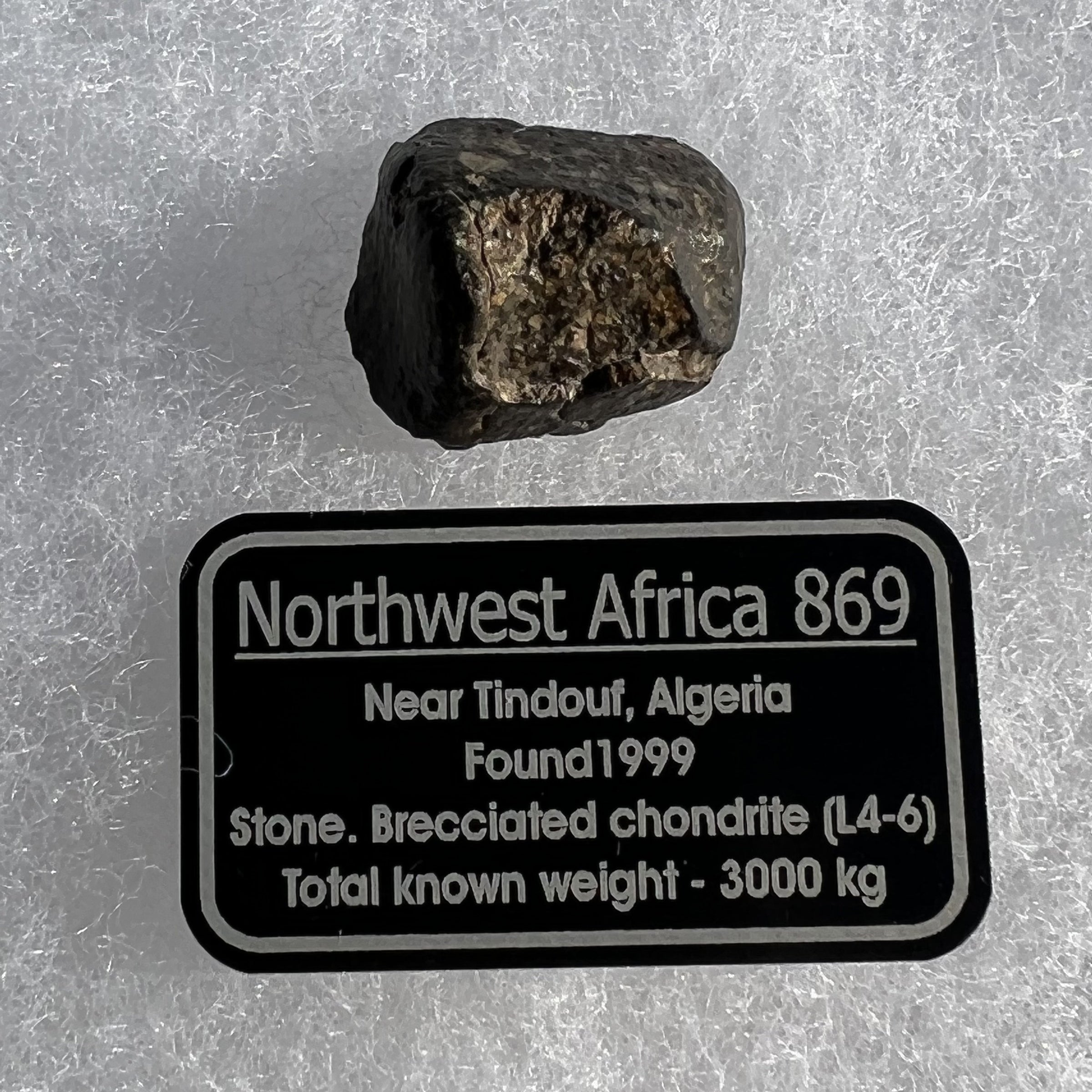 NWA 869 Meteorite Chondrite 7.3 grams-Moldavite Life