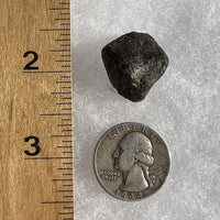 NWA 869 Meteorite Chondrite 7.4 grams-Moldavite Life