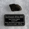 NWA 869 Meteorite Chondrite 8.1 grams-Moldavite Life