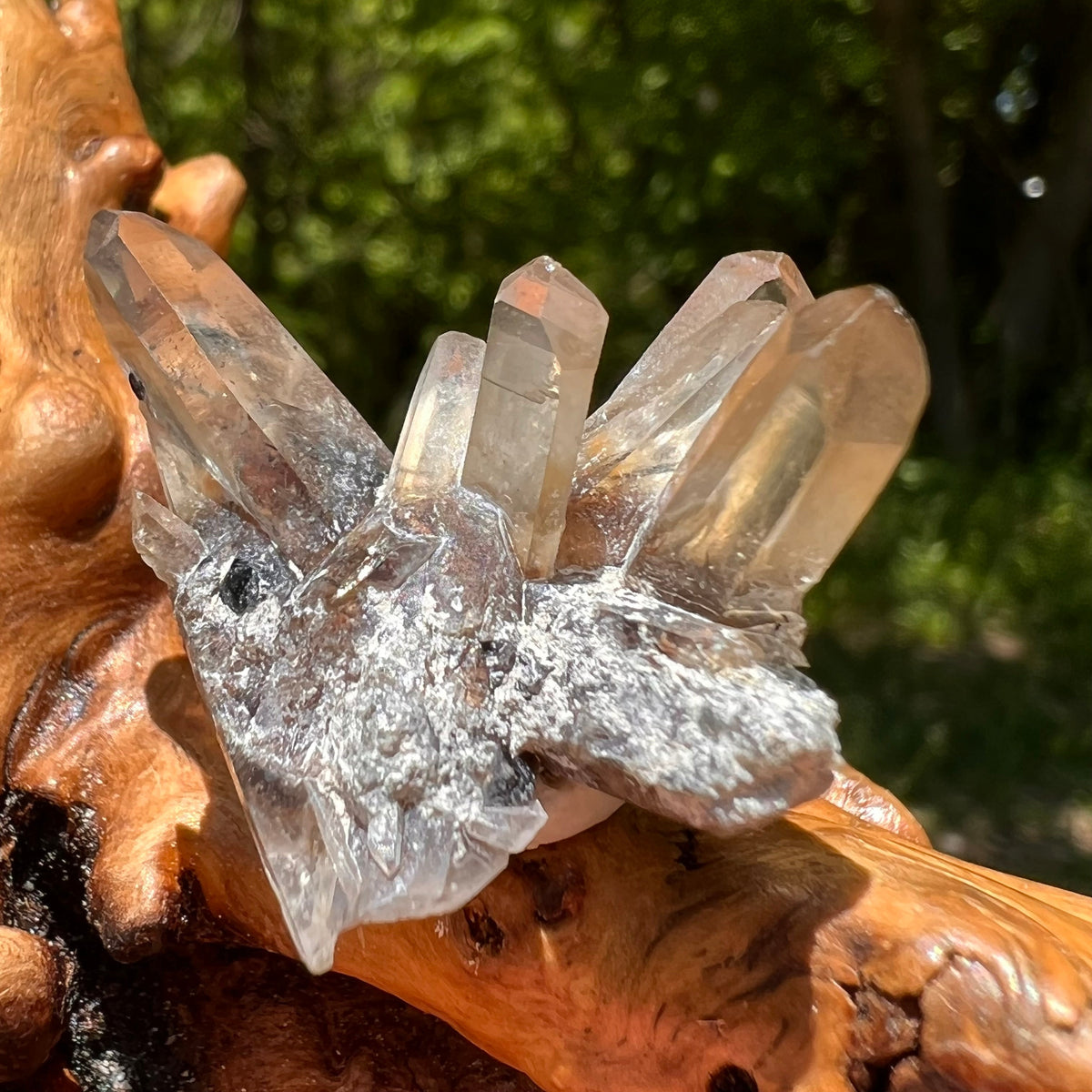 Natural Citrine Smoky Crystal Cluster Black Tourmaline #1-Moldavite Life