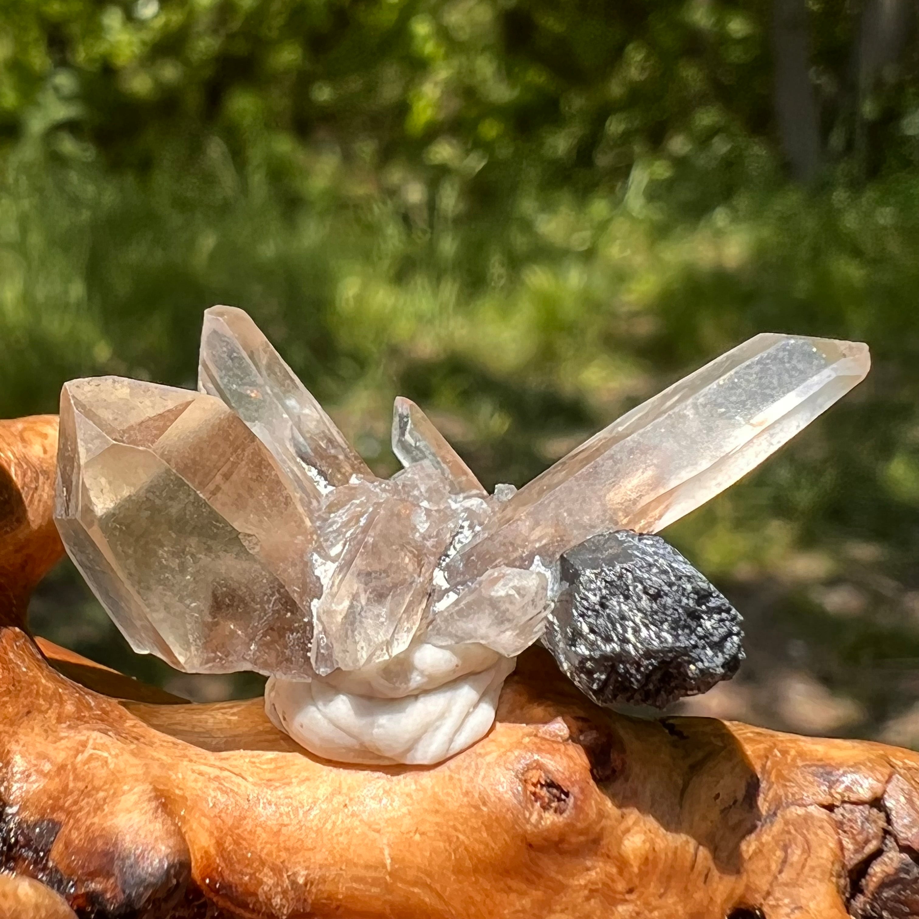 Citrine and sale black tourmaline together