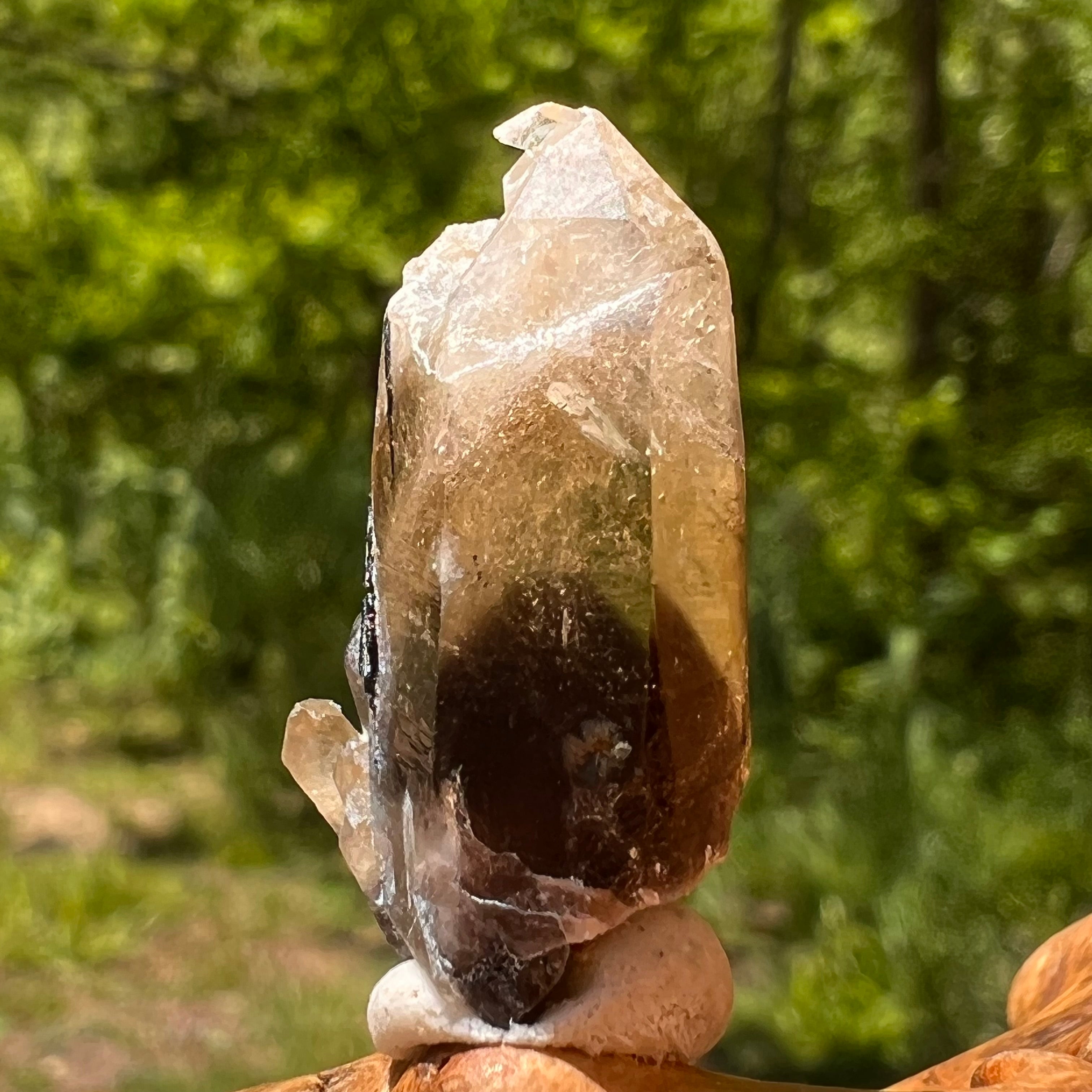 Black citrine on sale