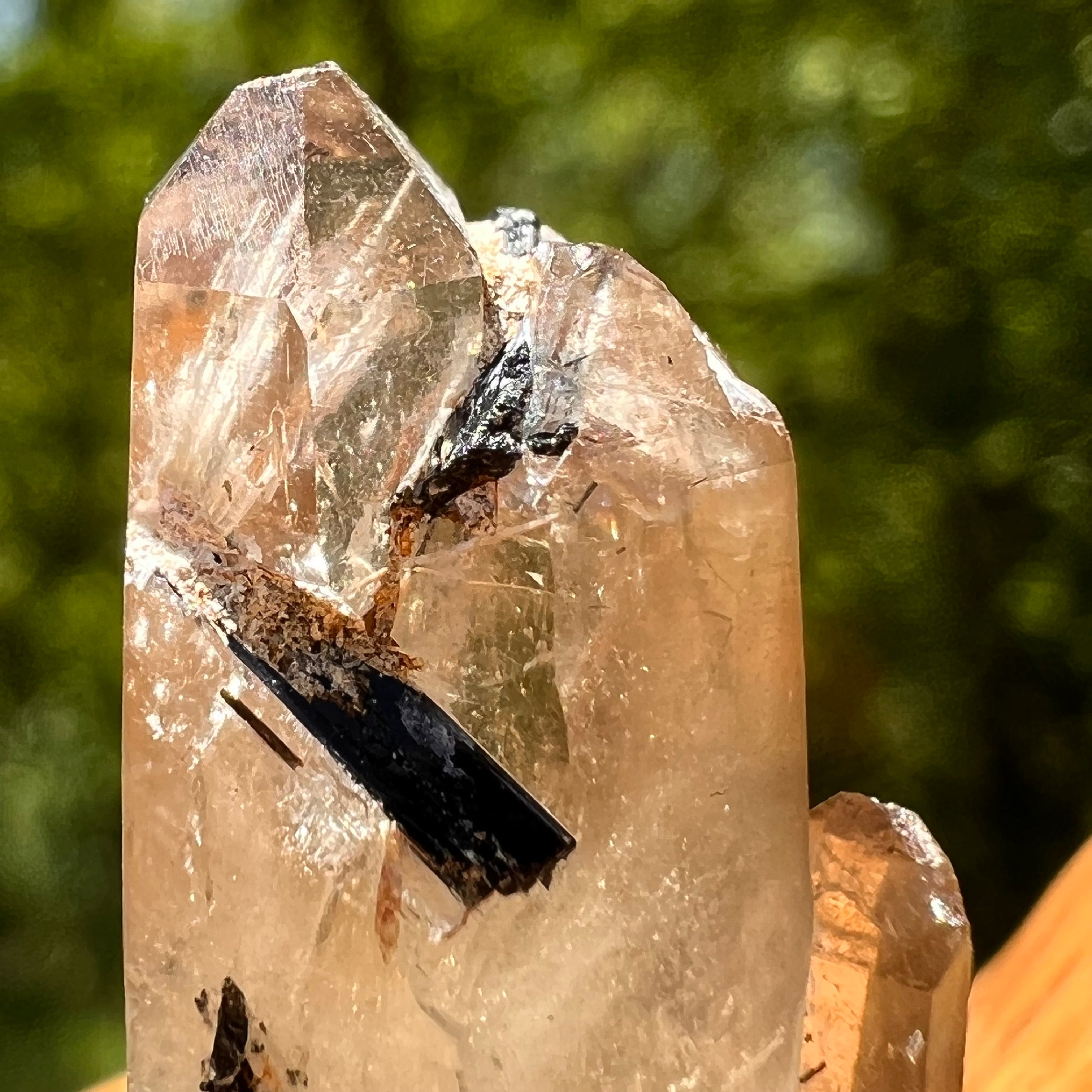 Black citrine shop