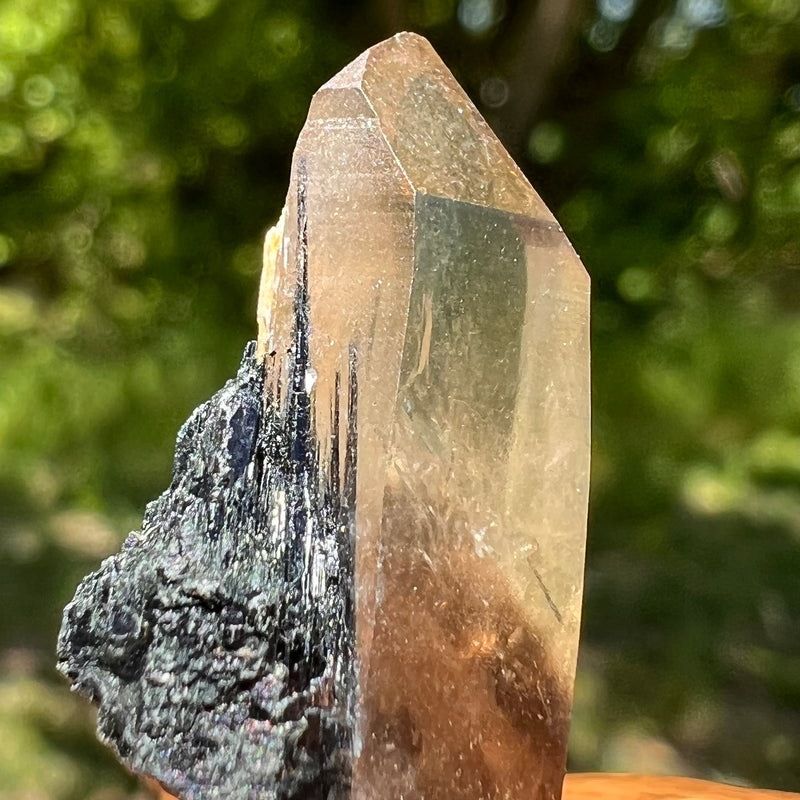 Natural Citrine Smoky Phantom Crystal #14-Moldavite Life