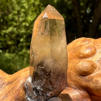 Natural Citrine Smoky Phantom Crystal #15-Moldavite Life