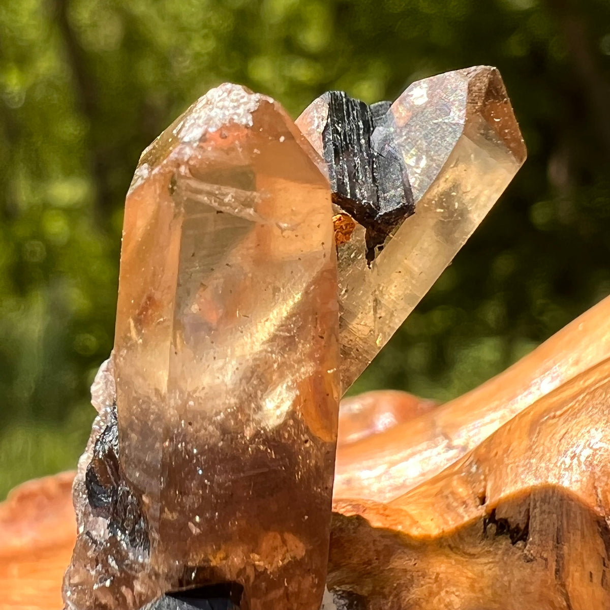 Natural Citrine Smoky Phantom Crystal #17-Moldavite Life