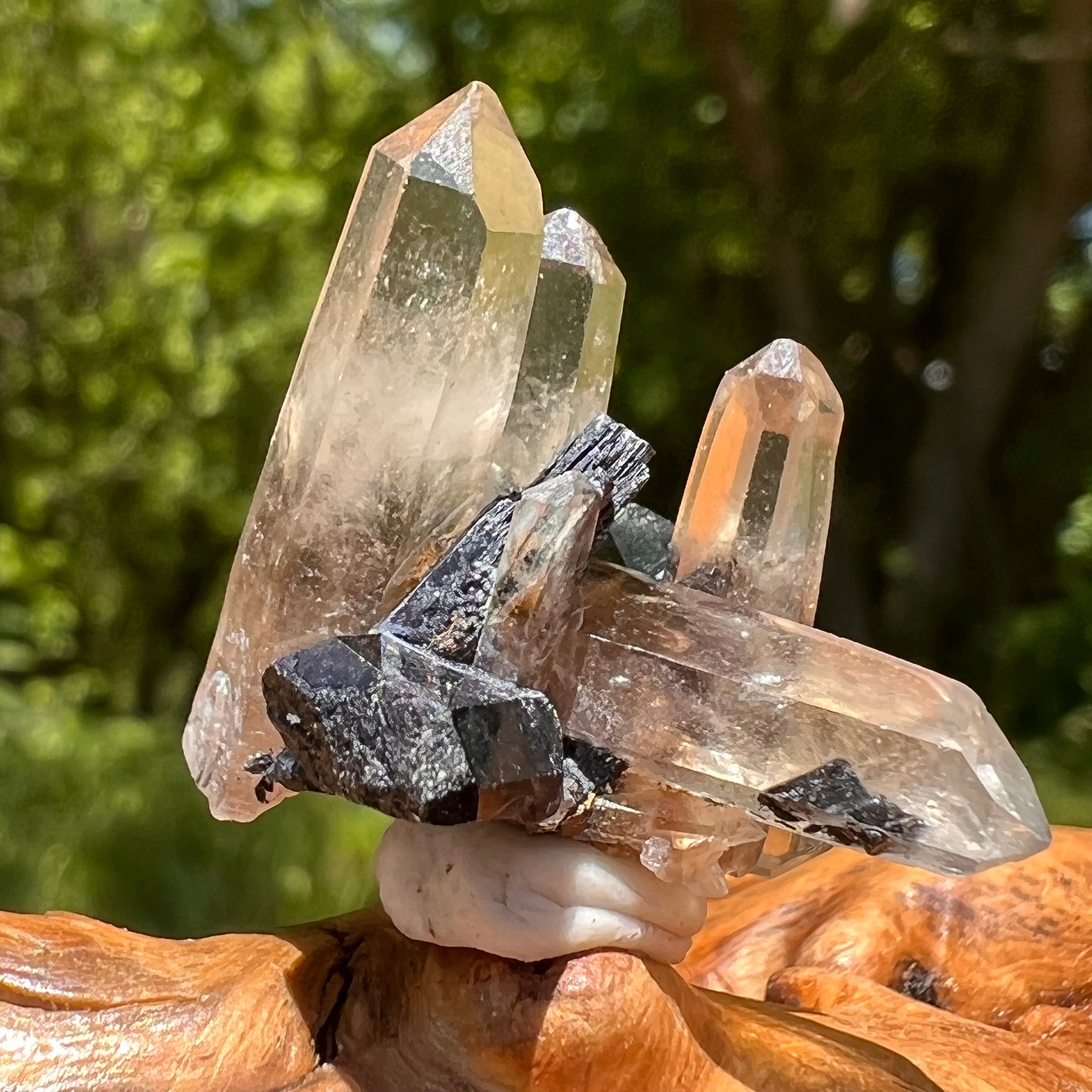 Natural Citrine Smoky Phantom Crystal #2-Moldavite Life