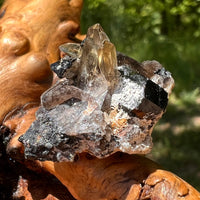Natural Citrine Smoky Phantom Crystal #22-Moldavite Life
