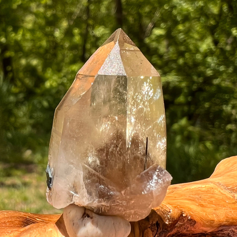 Natural Citrine Smoky Phantom Crystal #24-Moldavite Life