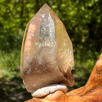Natural Citrine Smoky Phantom Crystal #24-Moldavite Life
