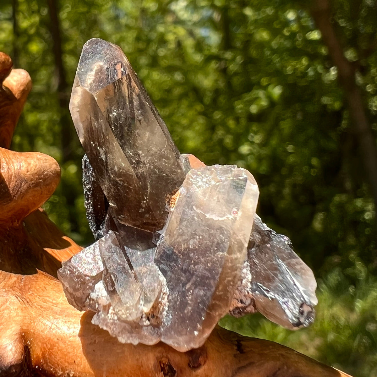 Natural Citrine Smoky Phantom Crystal #25-Moldavite Life