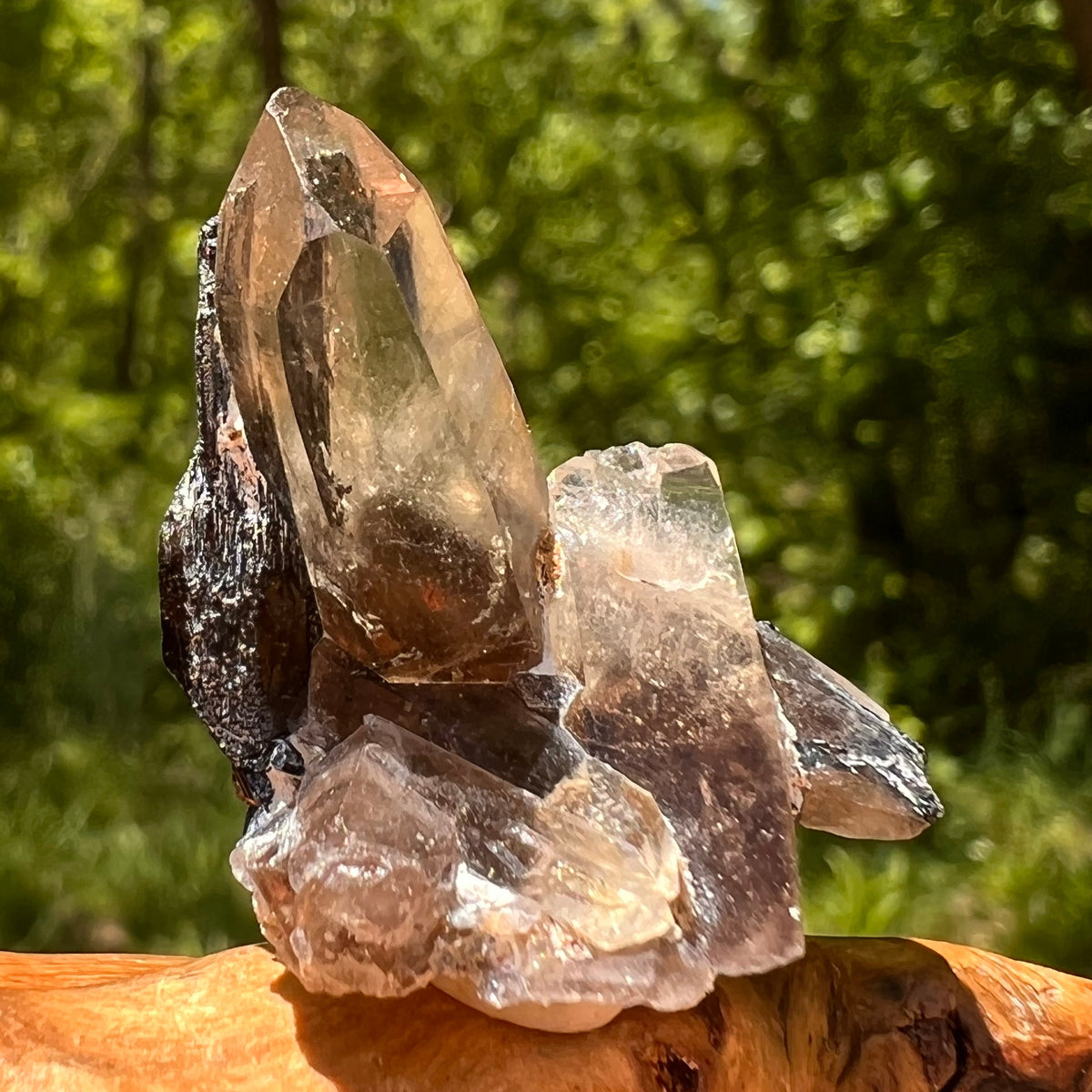 Natural Citrine Smoky Phantom Crystal #25-Moldavite Life
