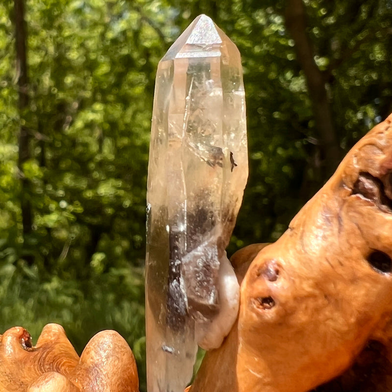 Natural Citrine Smoky Phantom Crystal #26-Moldavite Life