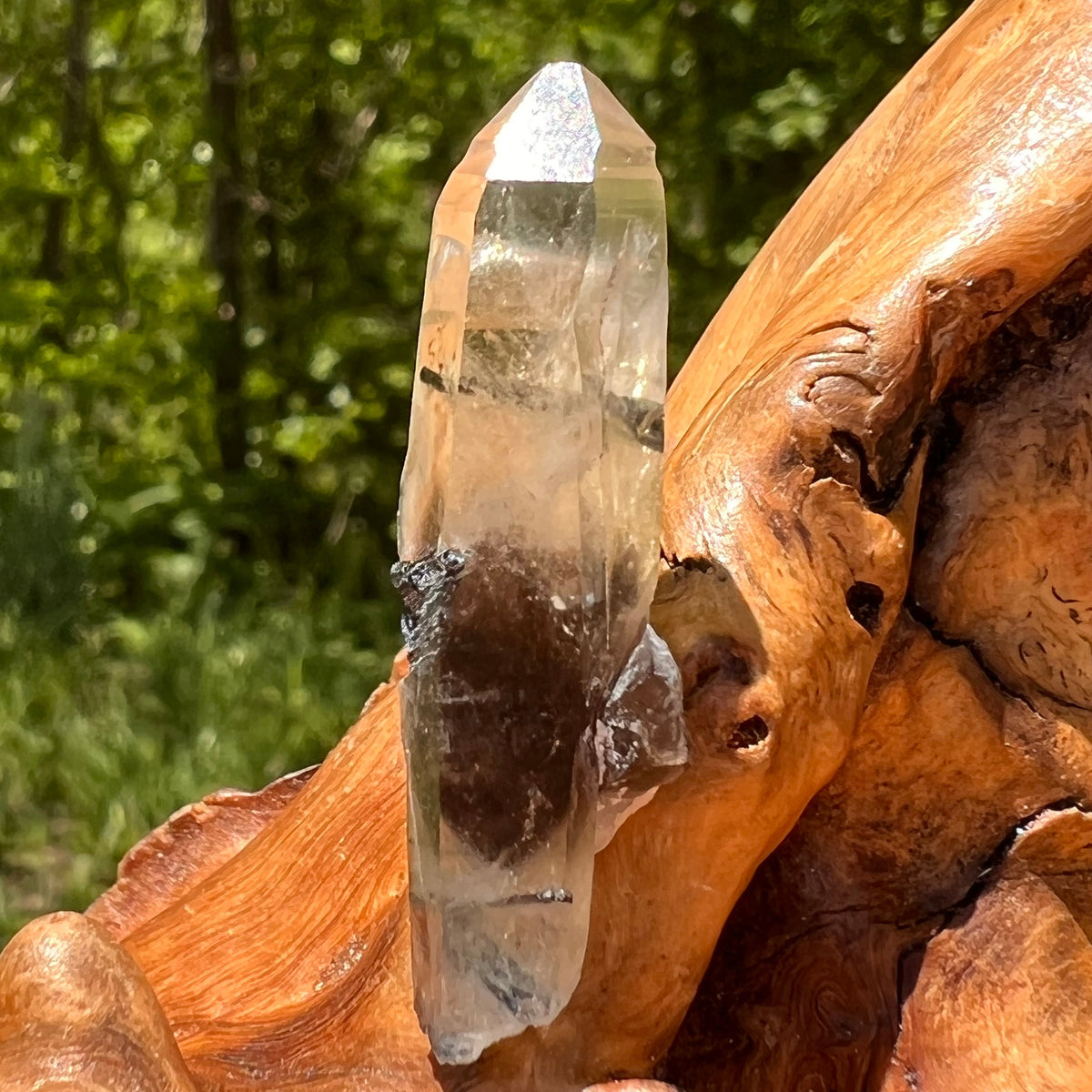 Natural Citrine Smoky Phantom Crystal #26-Moldavite Life