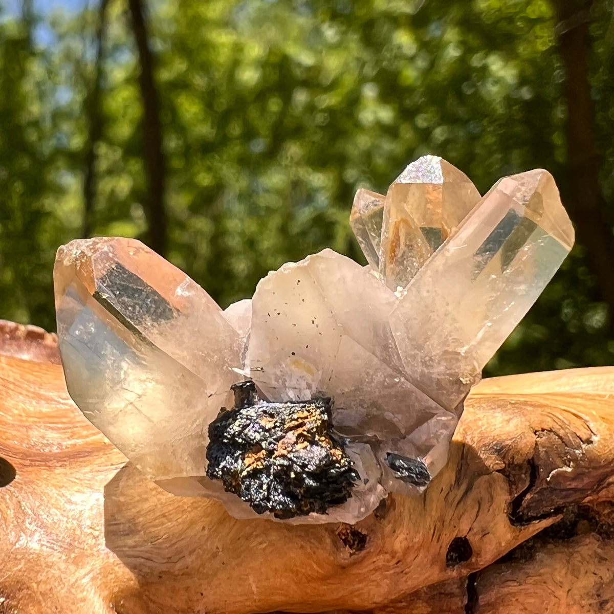 Natural Citrine Smoky Phantom Crystal #28-Moldavite Life