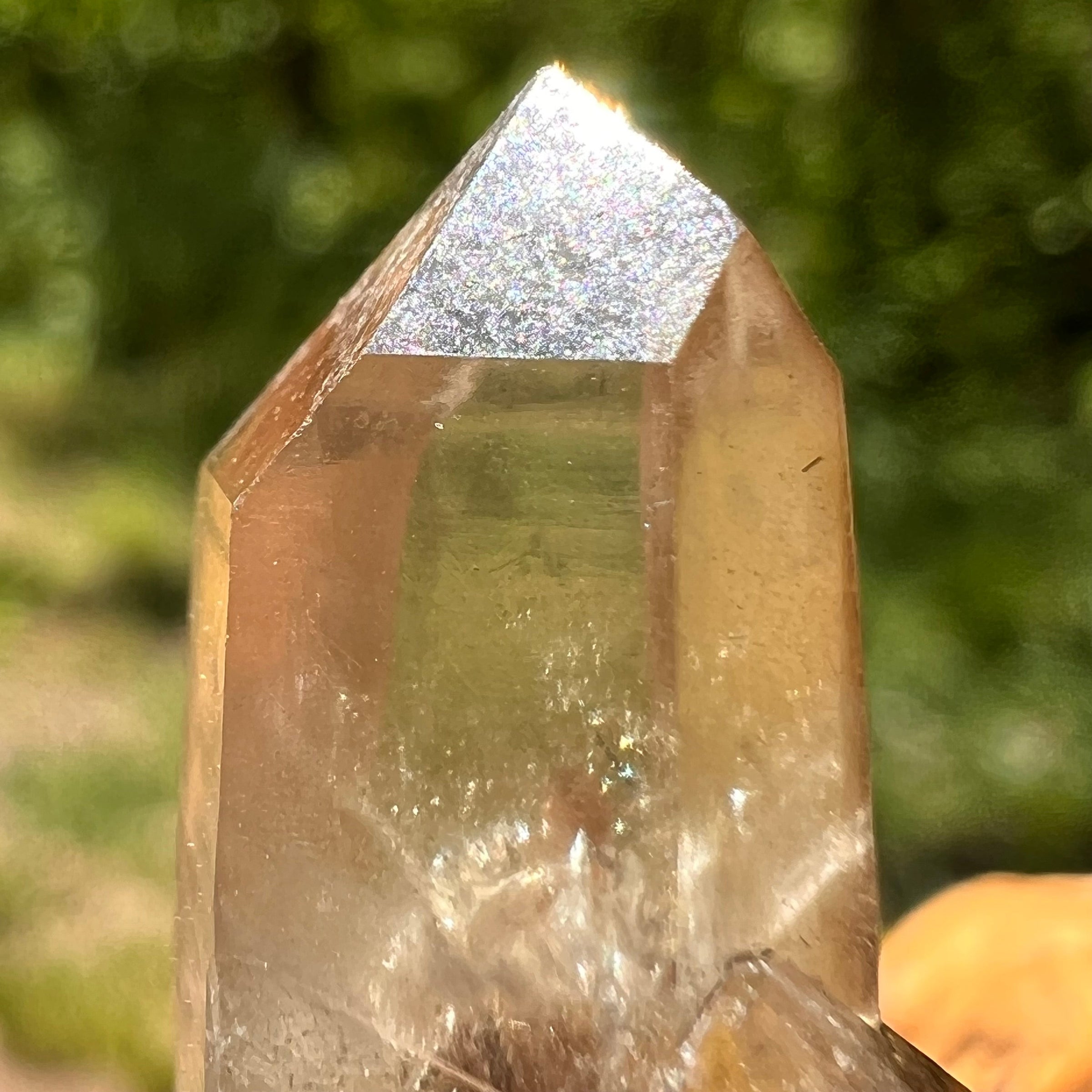 Natural Citrine Smoky Phantom Crystal #33-Moldavite Life