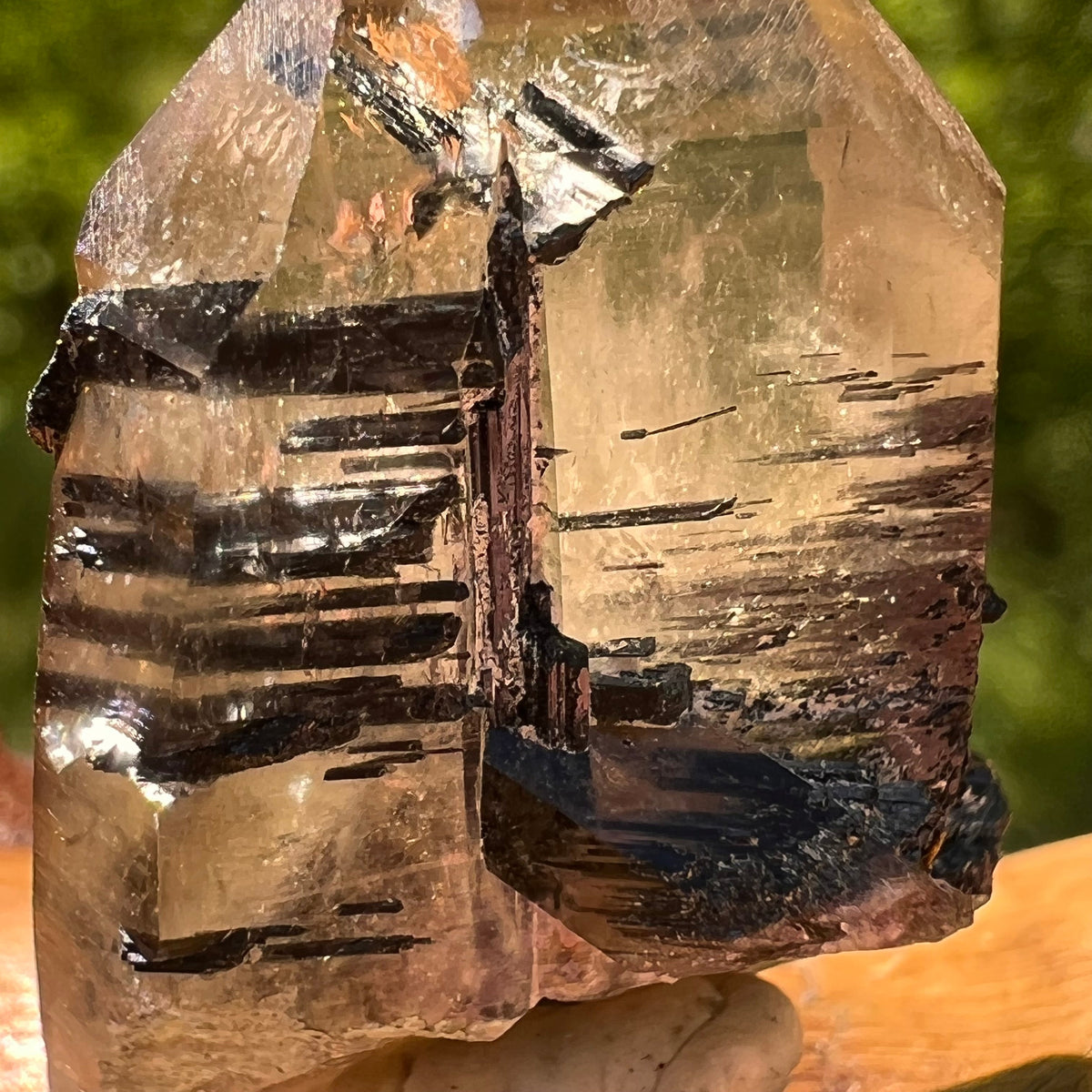 Natural Citrine Smoky Phantom Crystal #34-Moldavite Life