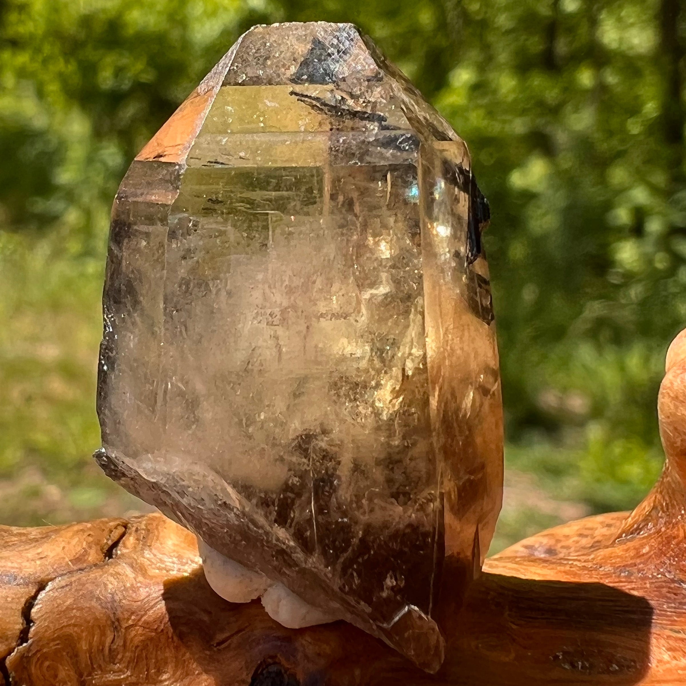 Natural Citrine Smoky Phantom Crystal #34-Moldavite Life