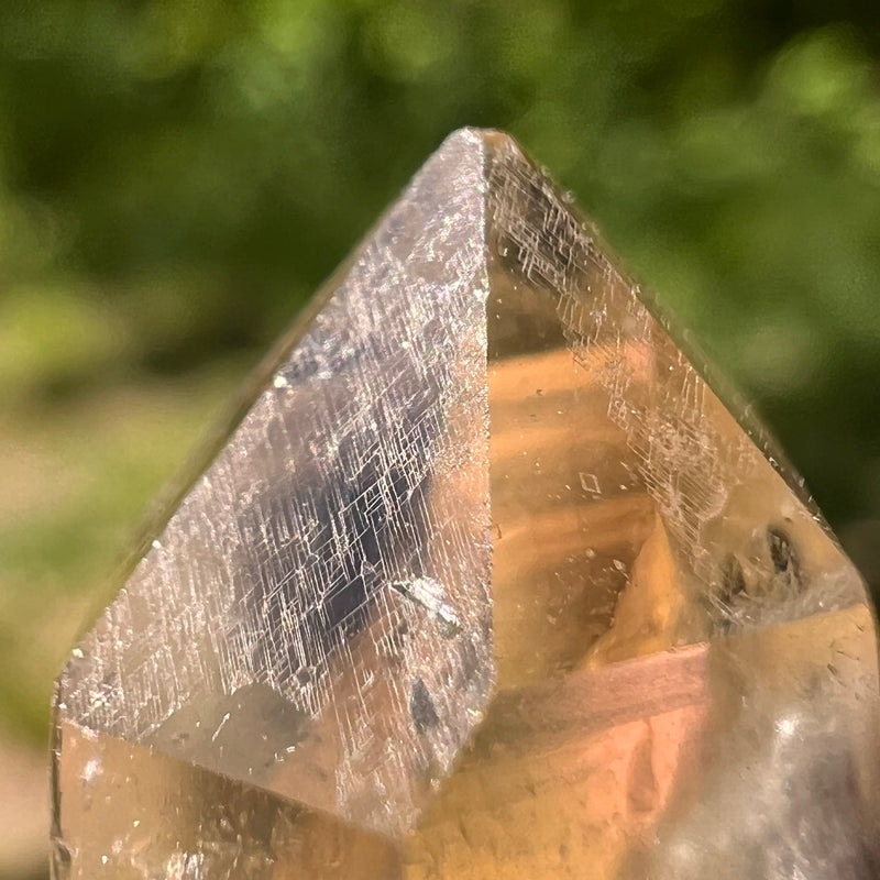 Natural Citrine Smoky Phantom Crystal #35-Moldavite Life