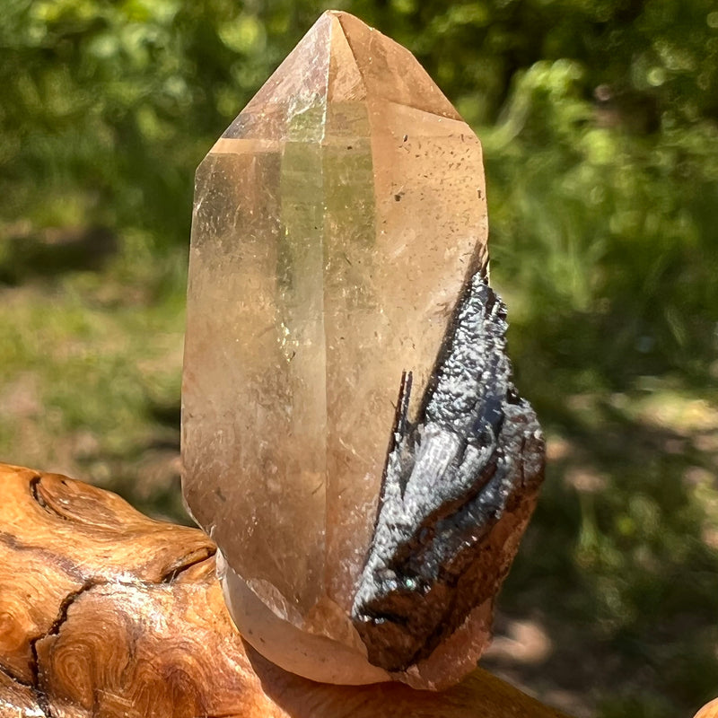 Natural Citrine Smoky Phantom Crystal #35-Moldavite Life