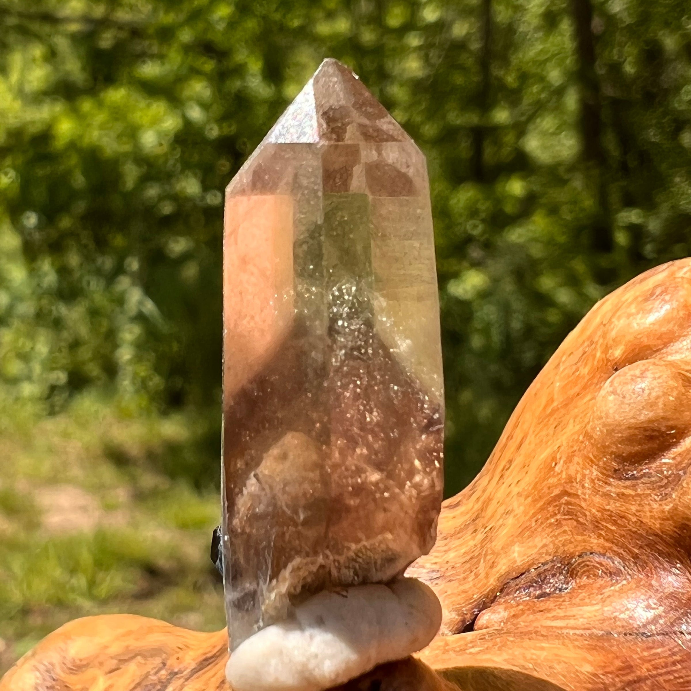 Natural Citrine Smoky Phantom Crystal #38-Moldavite Life
