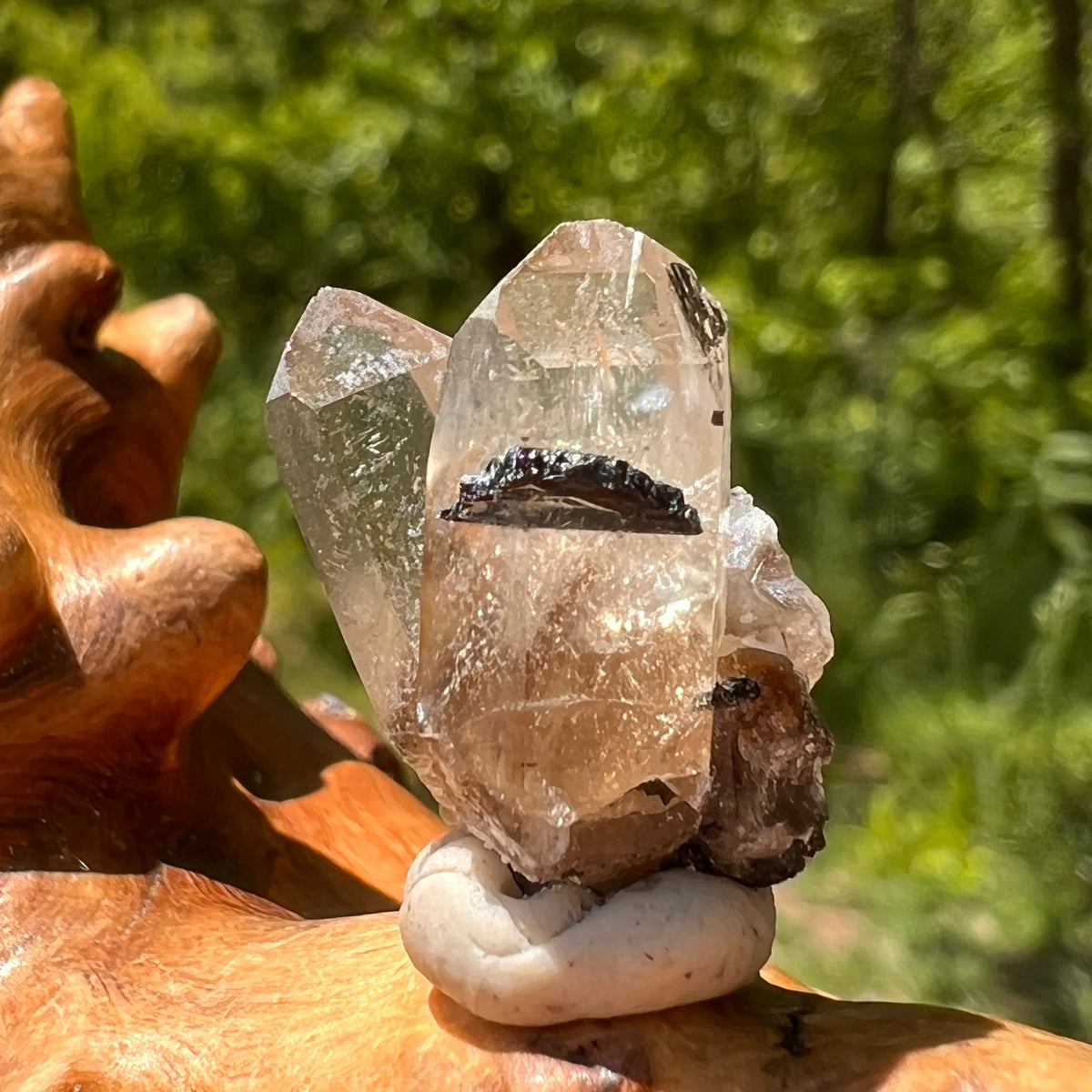 Natural Citrine Smoky Phantom Crystal #40-Moldavite Life