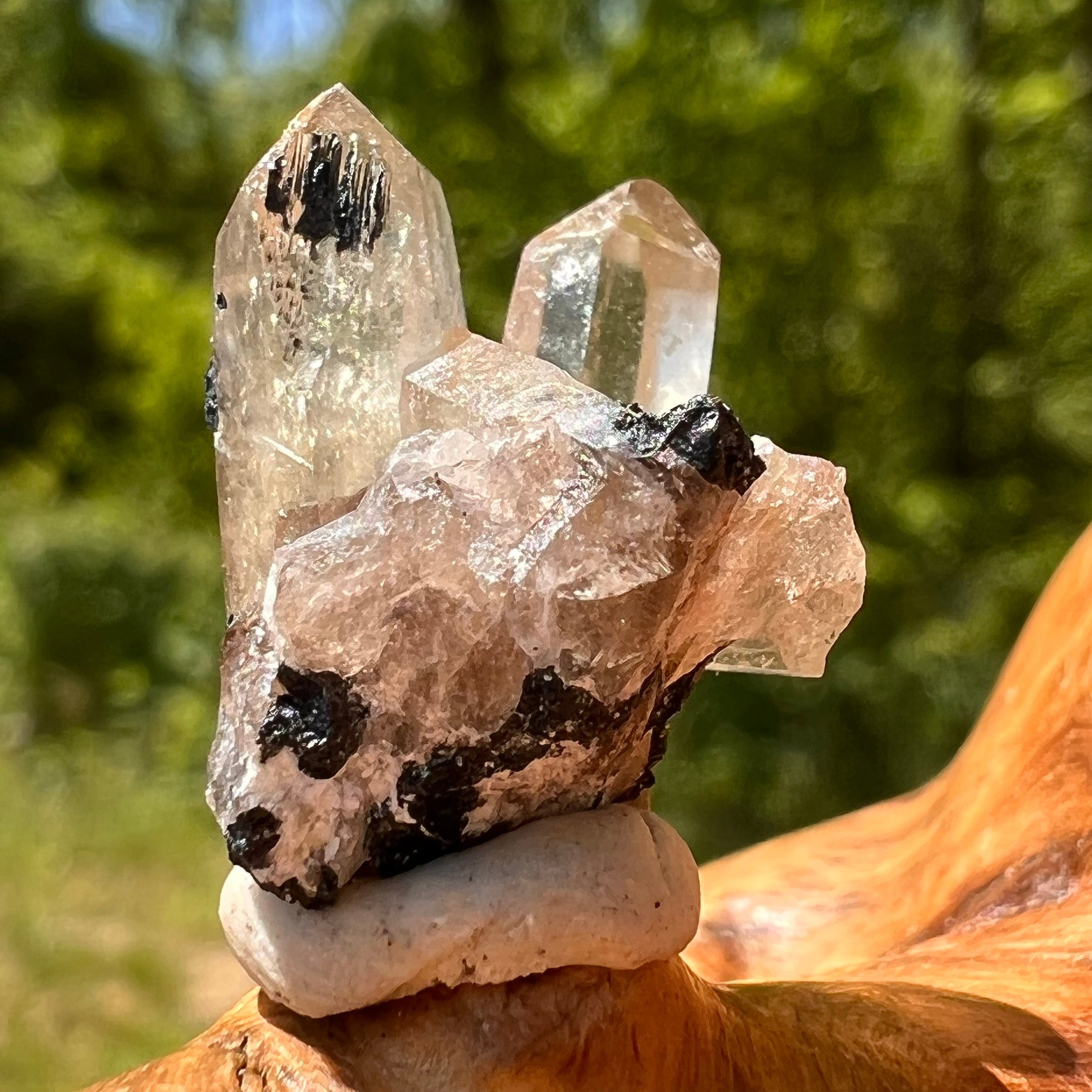Natural Citrine Smoky Phantom Crystal #40-Moldavite Life
