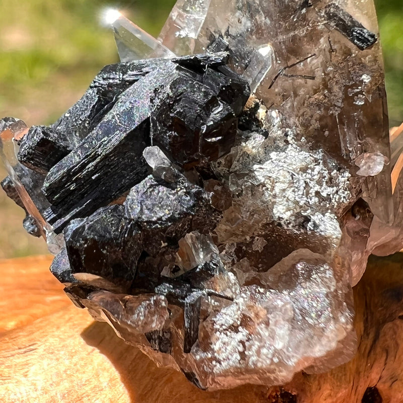 Natural Citrine Smoky Phantom Crystal #41-Moldavite Life