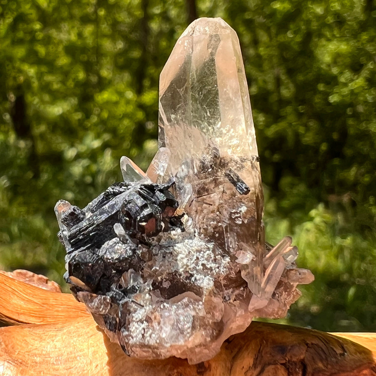Natural Citrine Smoky Phantom Crystal #41-Moldavite Life