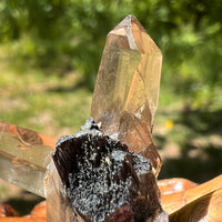 Natural Citrine Smoky Phantom Crystal #42-Moldavite Life