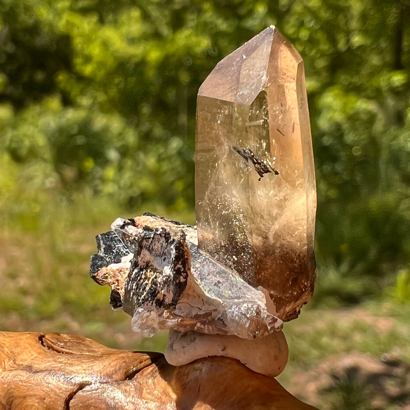 Natural Citrine Smoky Phantom Crystal #43-Moldavite Life