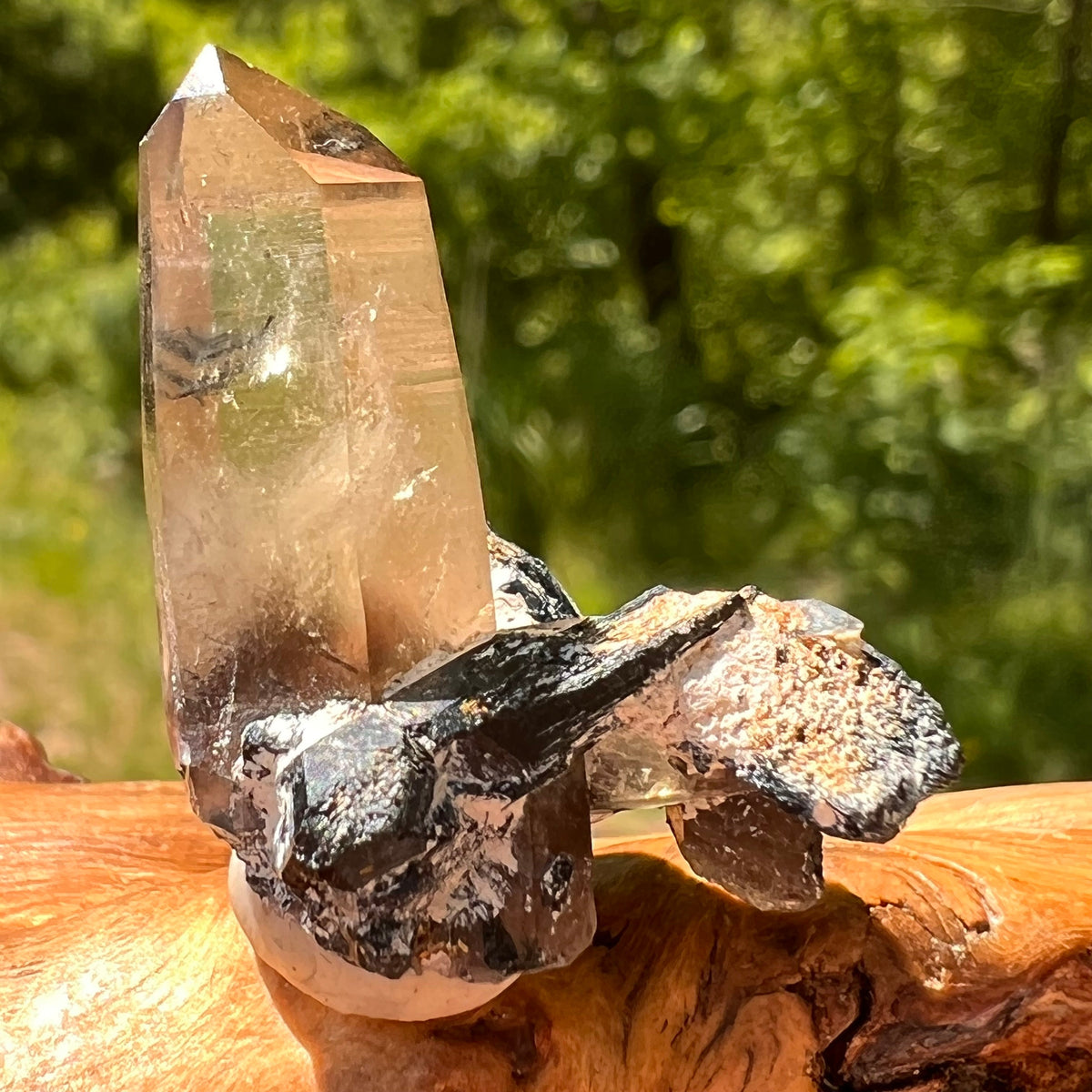Natural Citrine Smoky Phantom Crystal #43-Moldavite Life