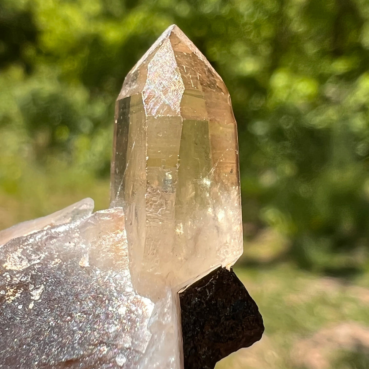 Natural Citrine Smoky Phantom Crystal #44-Moldavite Life