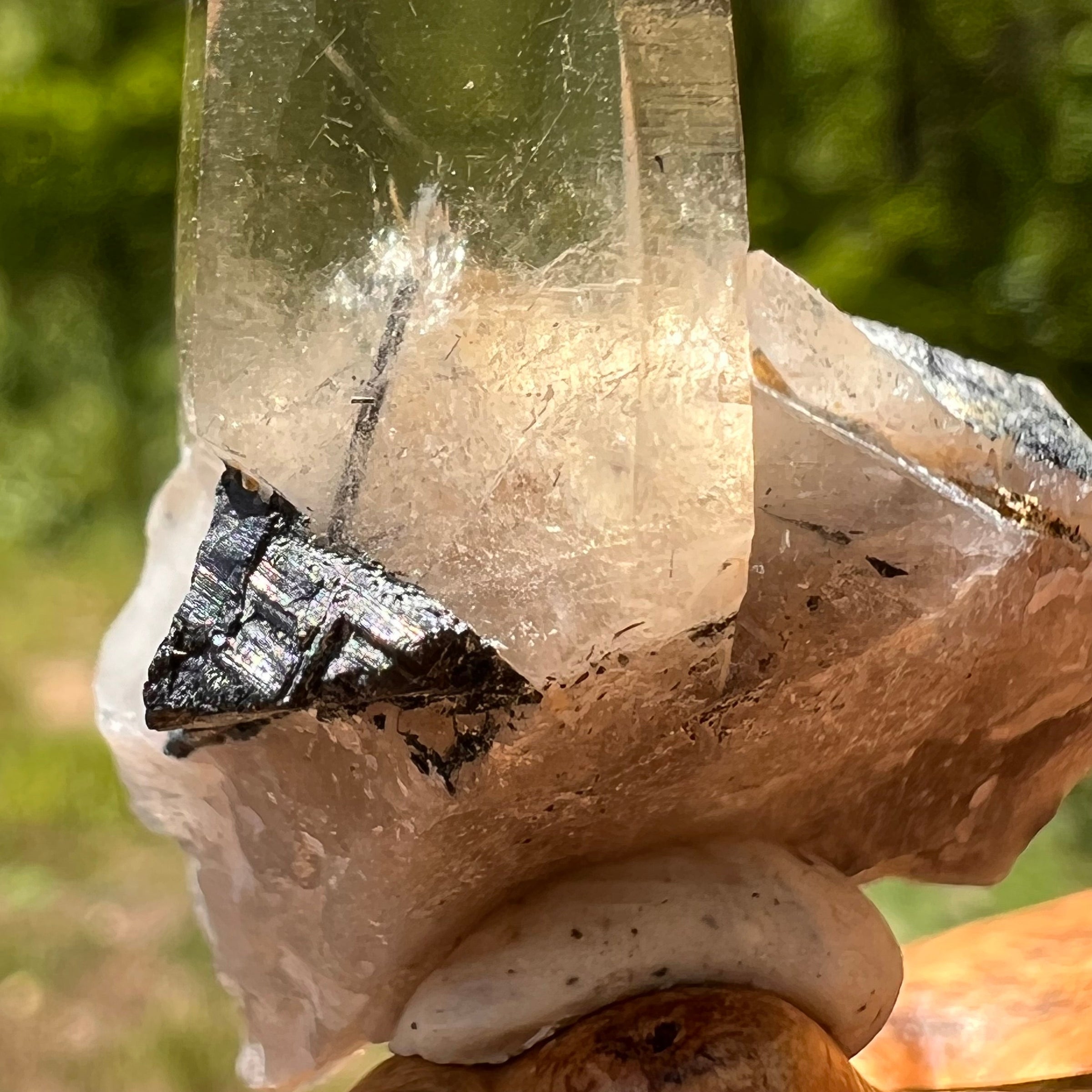 Natural Citrine Smoky Phantom Crystal #44-Moldavite Life