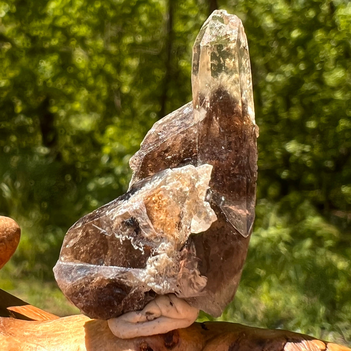 Natural Citrine Smoky Phantom Crystal #45-Moldavite Life
