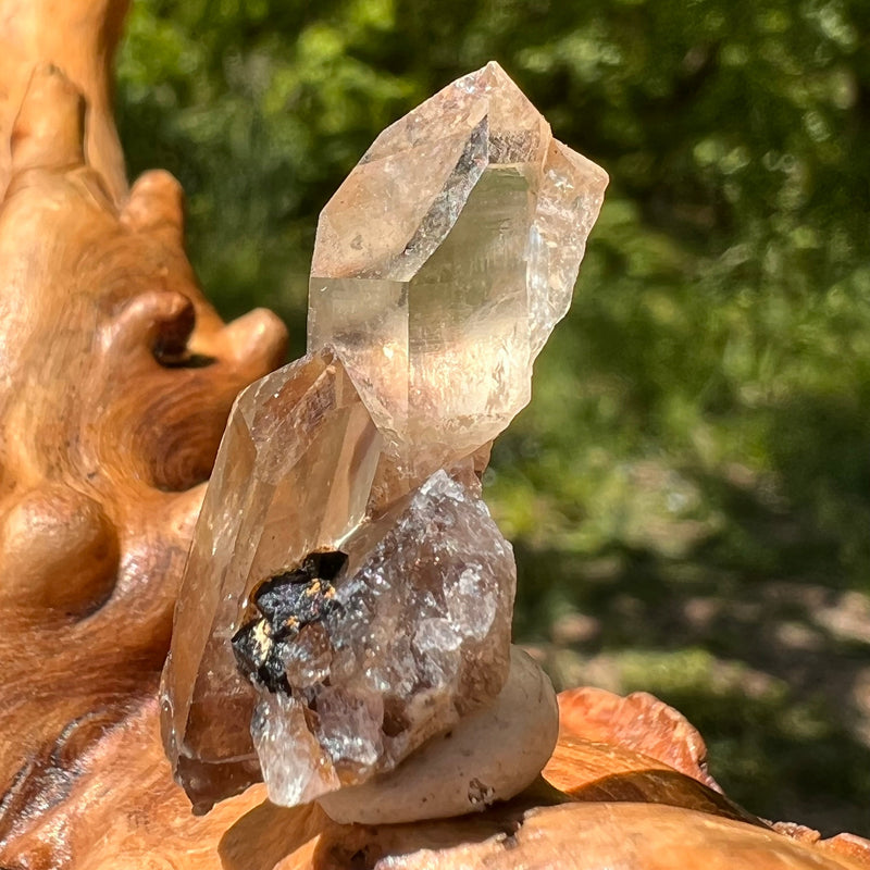 Natural Citrine Smoky Phantom Crystal #46-Moldavite Life