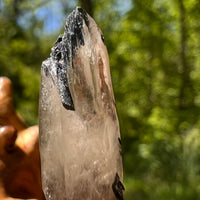 Natural Citrine Smoky Phantom Crystal #48-Moldavite Life