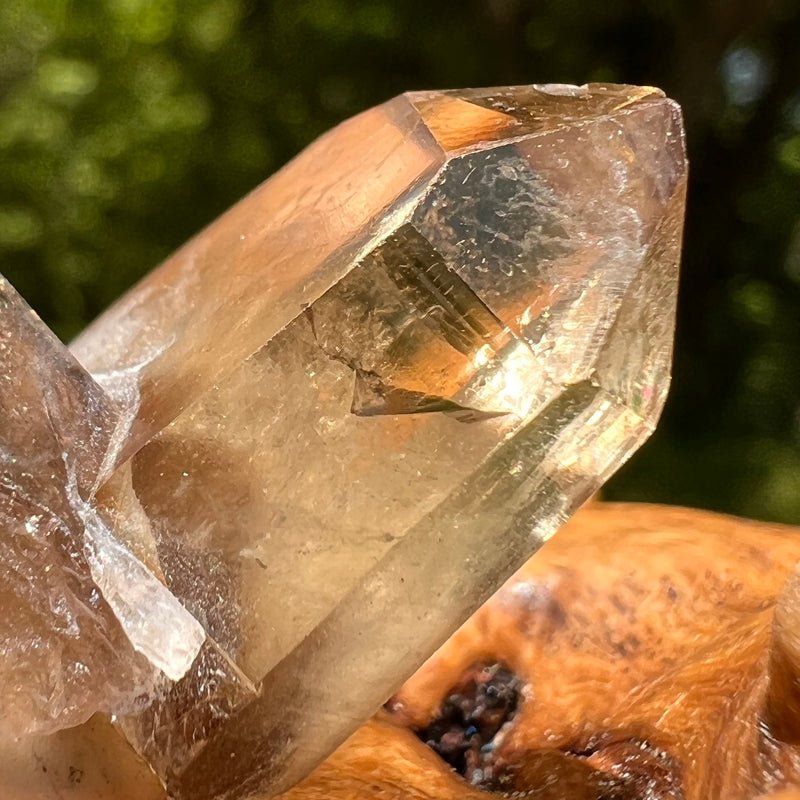 Natural Citrine Smoky Phantom Crystal #5-Moldavite Life