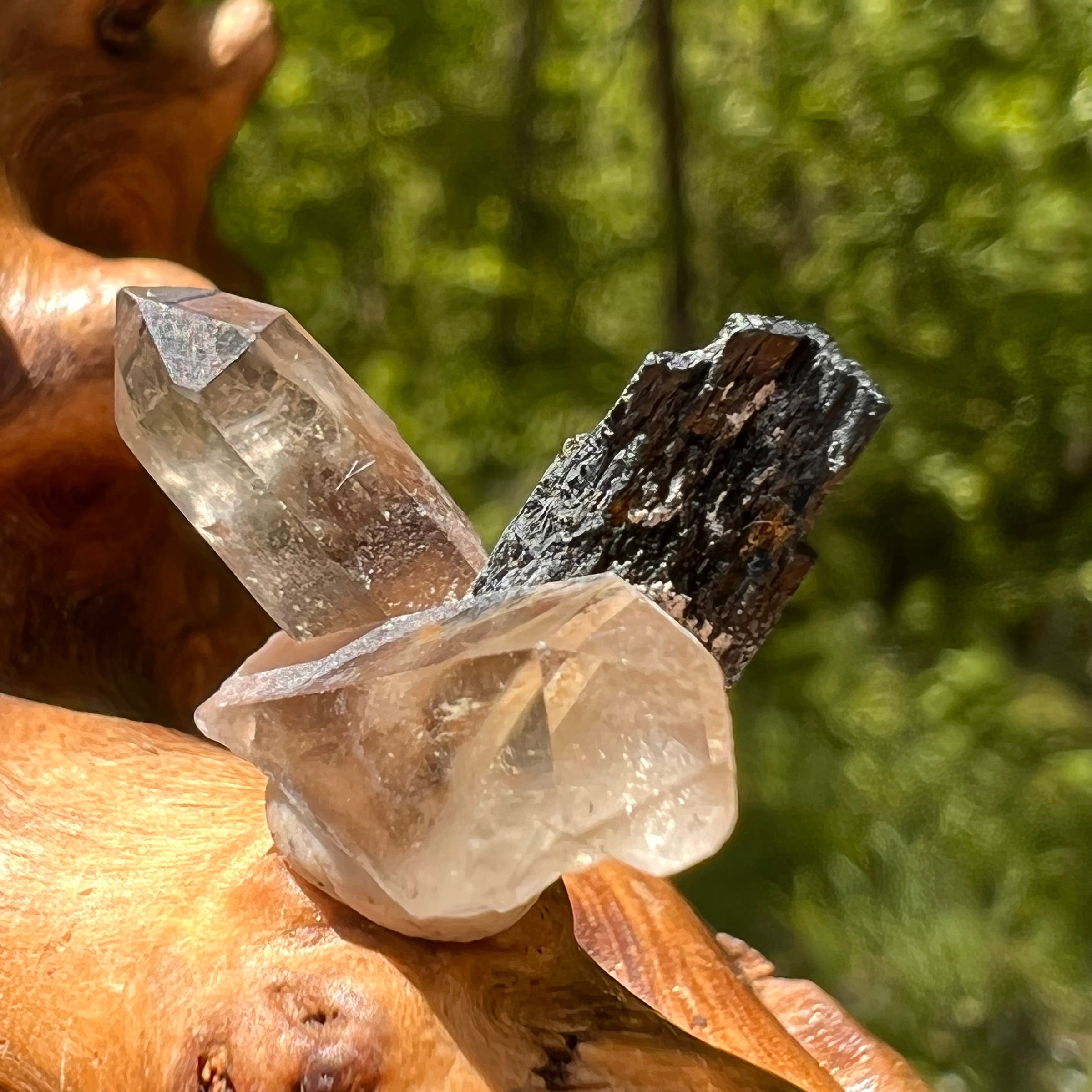 Natural Citrine Smoky Phantom Crystal #51-Moldavite Life