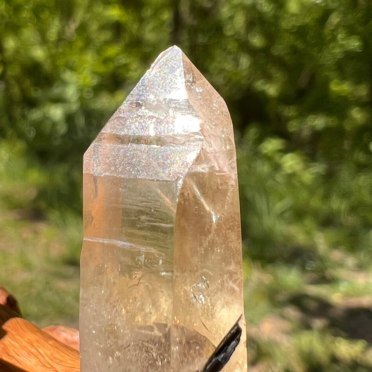 Natural Citrine Smoky Phantom Crystal #53-Moldavite Life