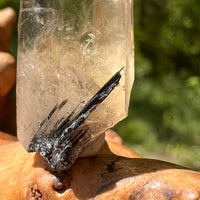 Natural Citrine Smoky Phantom Crystal #53-Moldavite Life