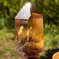 Natural Citrine Smoky Phantom Crystal #55-Moldavite Life